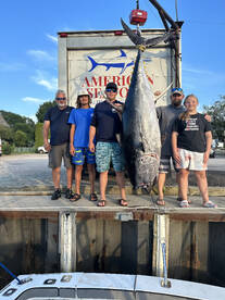 Giant Bluefin Tuna Bite remains hot!!!
