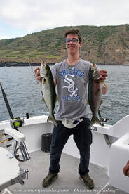 two bluefish