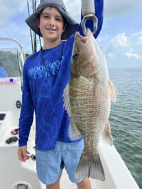 Islamorada Report Photo 1