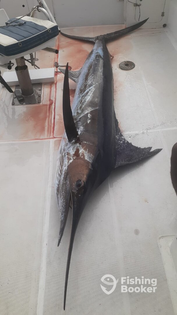 Le Morne Report Photo 0