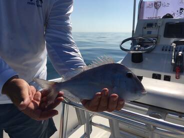 Ramrod Key Report Photo 1