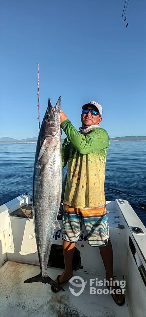 San Jose del Cabo Report Photo 0