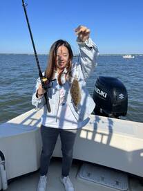 Bellevue Report Photo 2