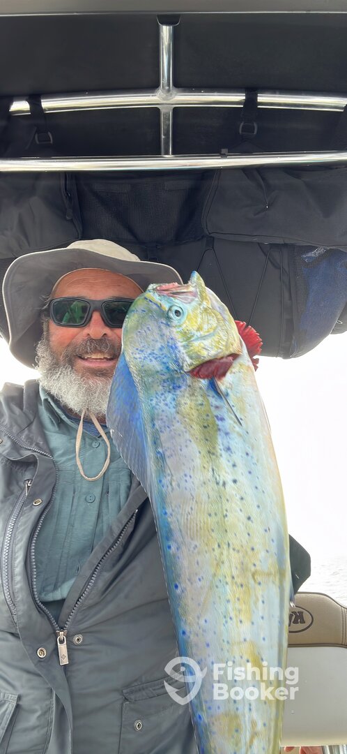 San Diego Report Photo 0