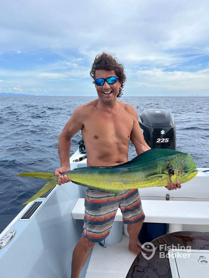Mahi Mahi
