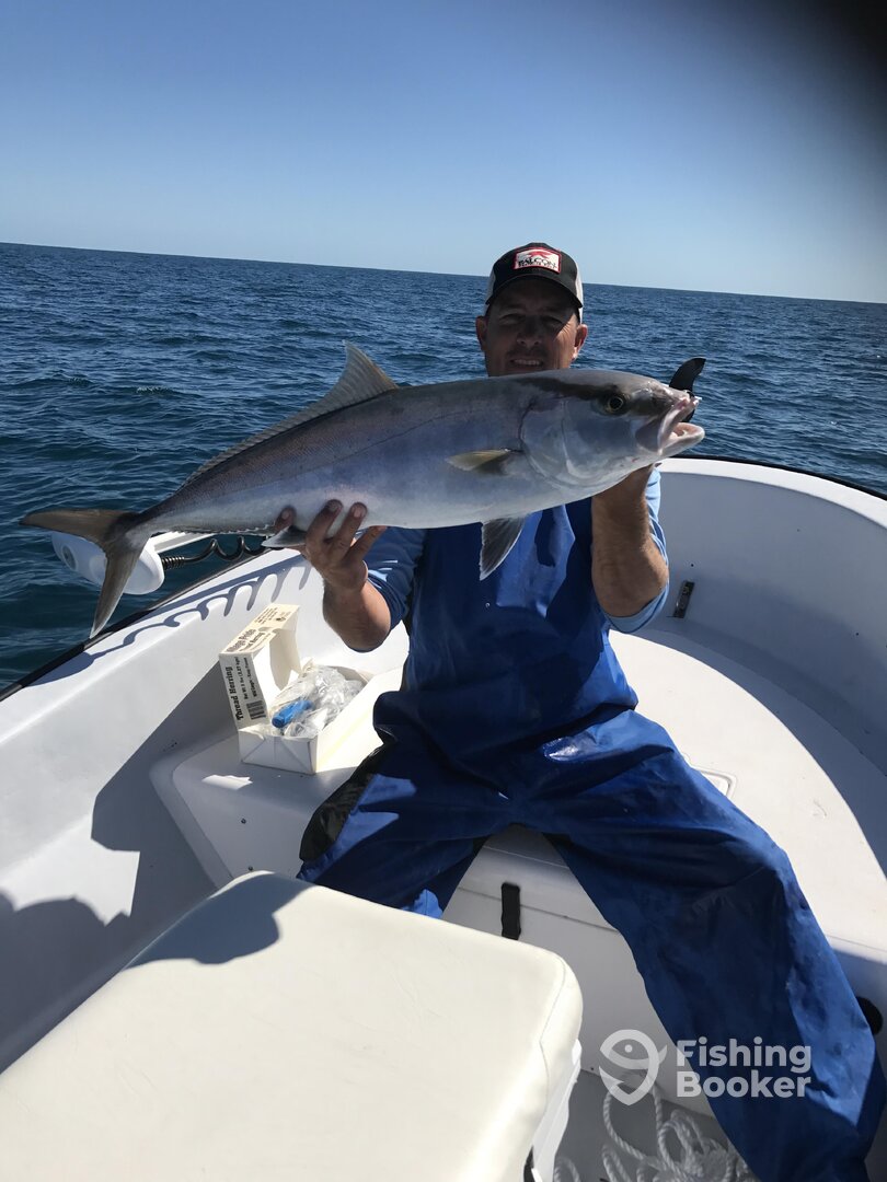 St. Petersburg Report Photo 0