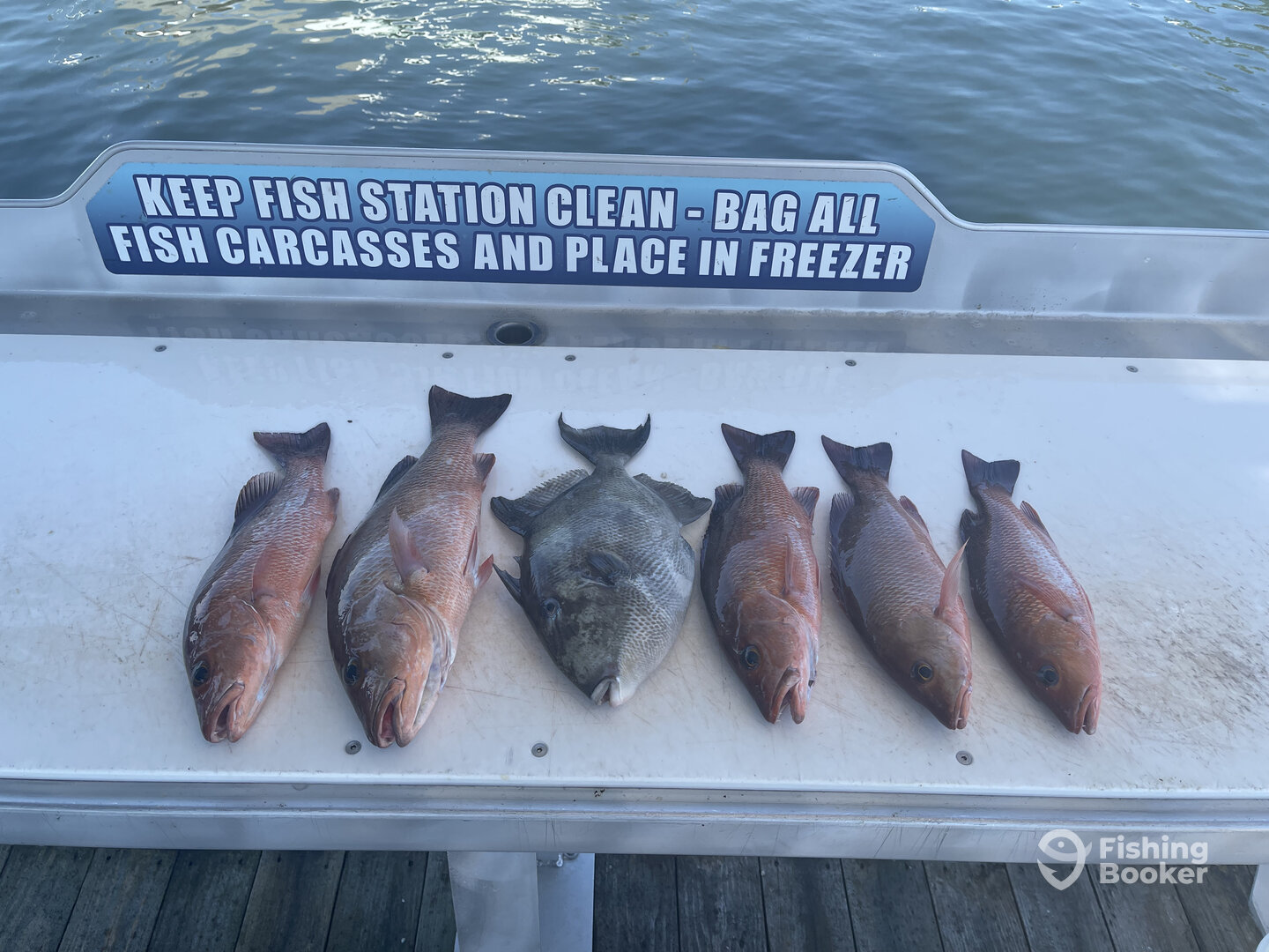 Shalimar Report Photo 0