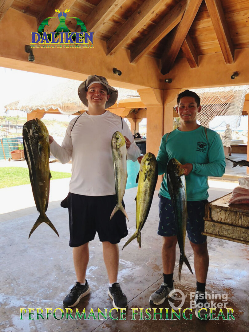 San Jose del Cabo Report Photo 0