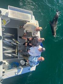 Dorado Tuna Yellowtail Big Rockfish all 