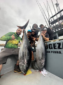 Offshore Tuna fishing 