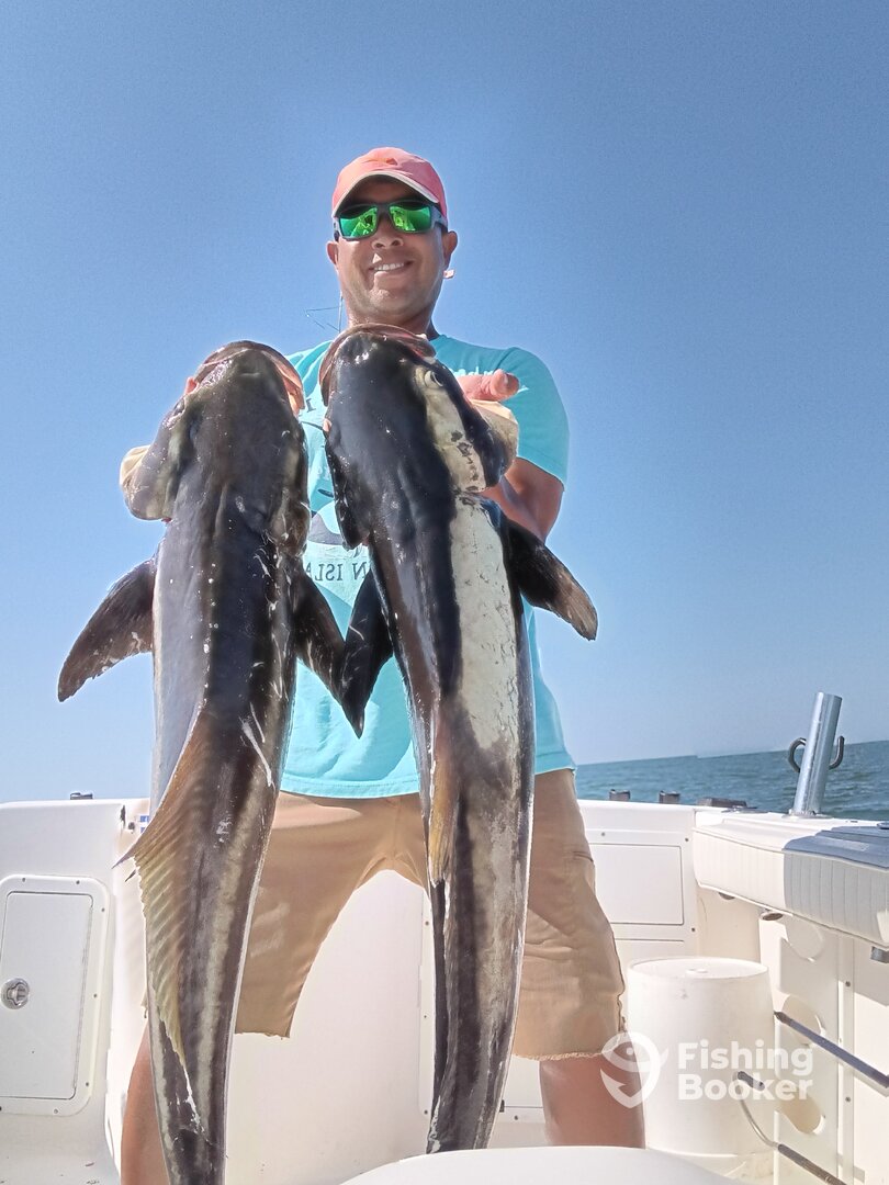 Virginia Beach Report Photo 0