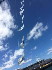 7 Sailfish Flags Flying on the way in nothing better then everybody staring at you.