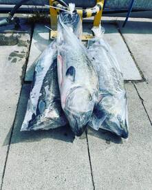 Qualicum Beach Report Photo 3