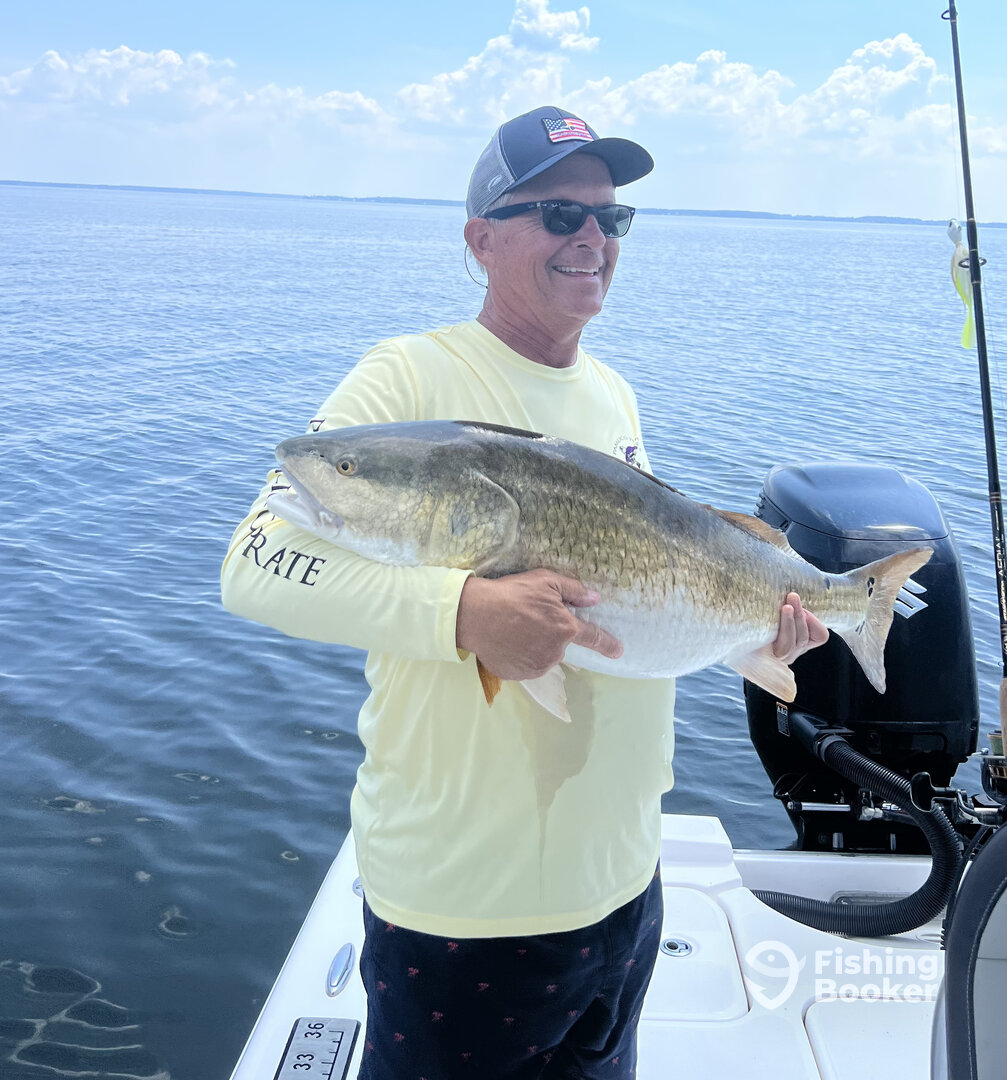 Oriental Report Photo 0