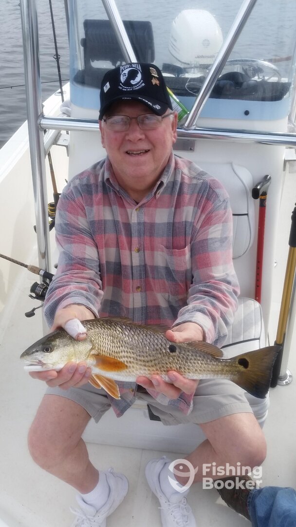 Port Orange Report Photo 0