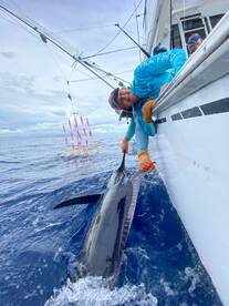 Quepos Report Photo 2