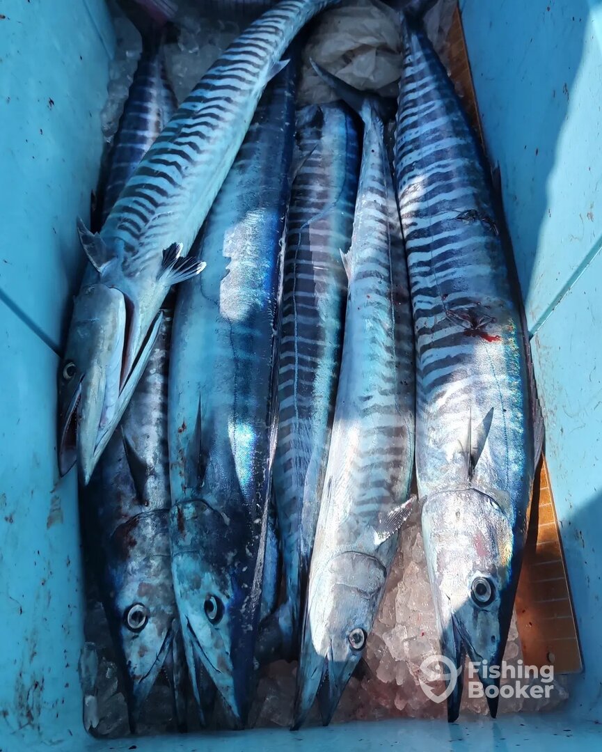 Fort Lauderdale Report Photo 0