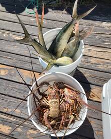 Fort Lauderdale Report Photo 2