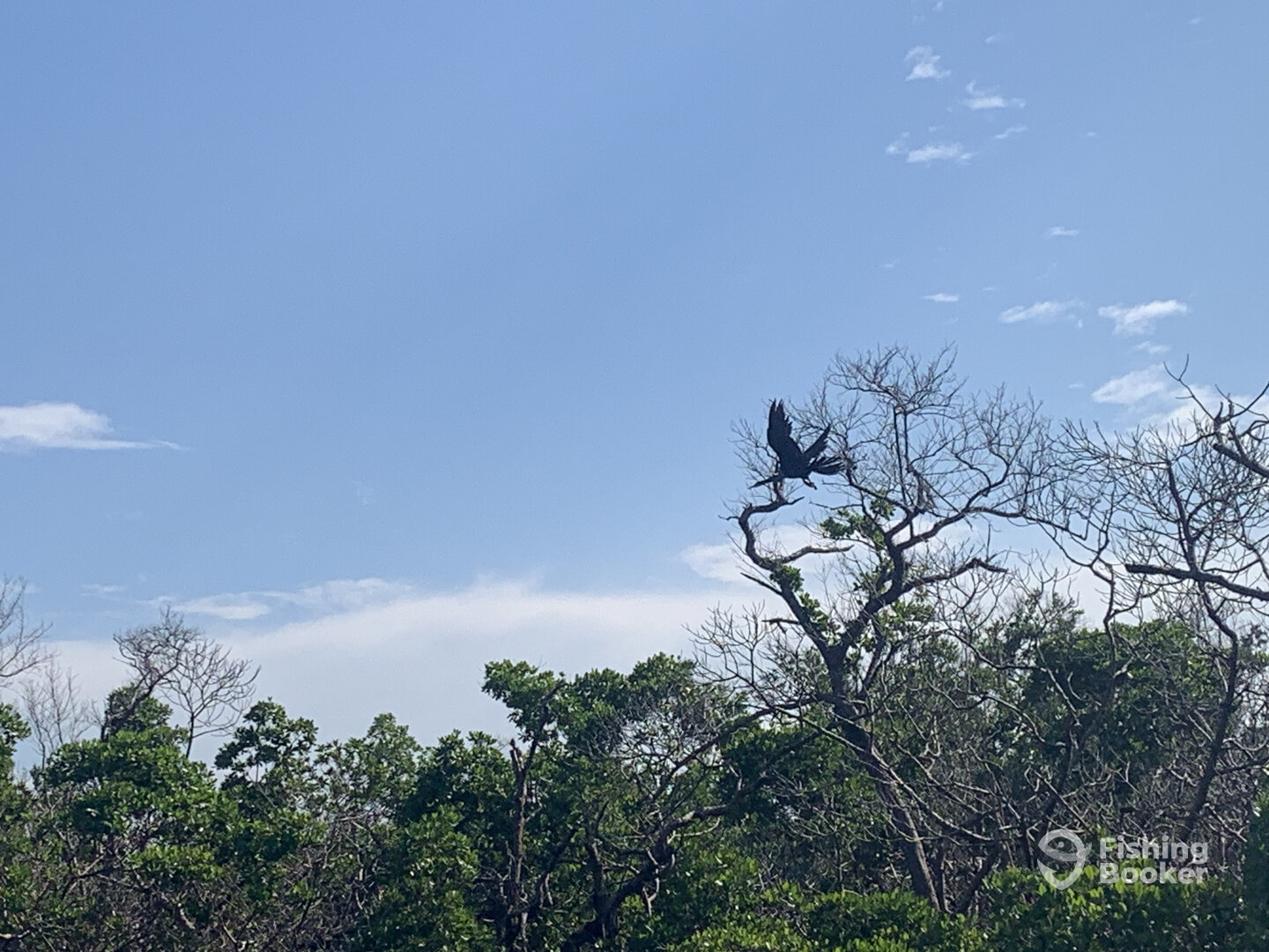 Fort Myers Report Photo 0