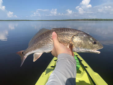 Fort Myers Report Photo 2