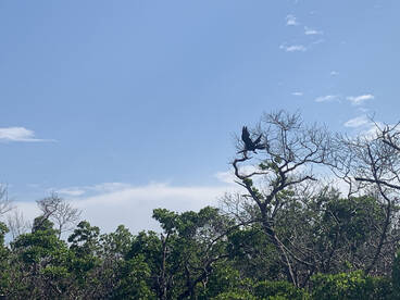 Estero Bay/Rocky Bay