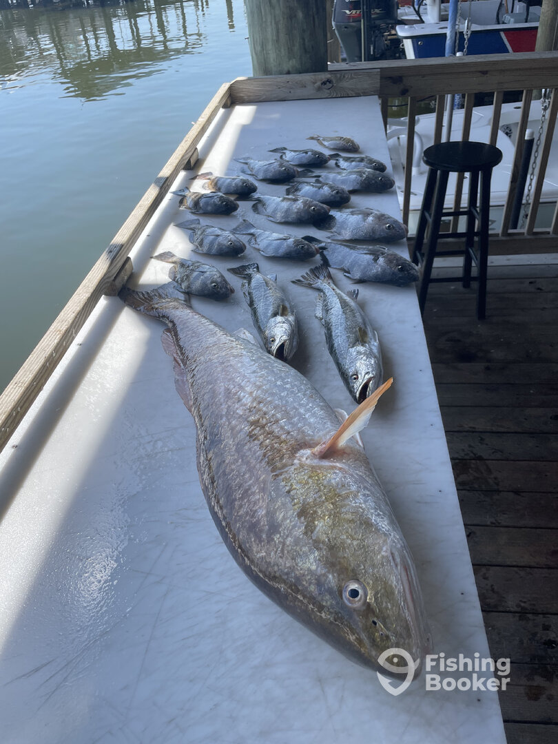 Pass Christian Report Photo 0