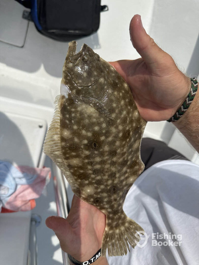 Ocean City Report Photo 0