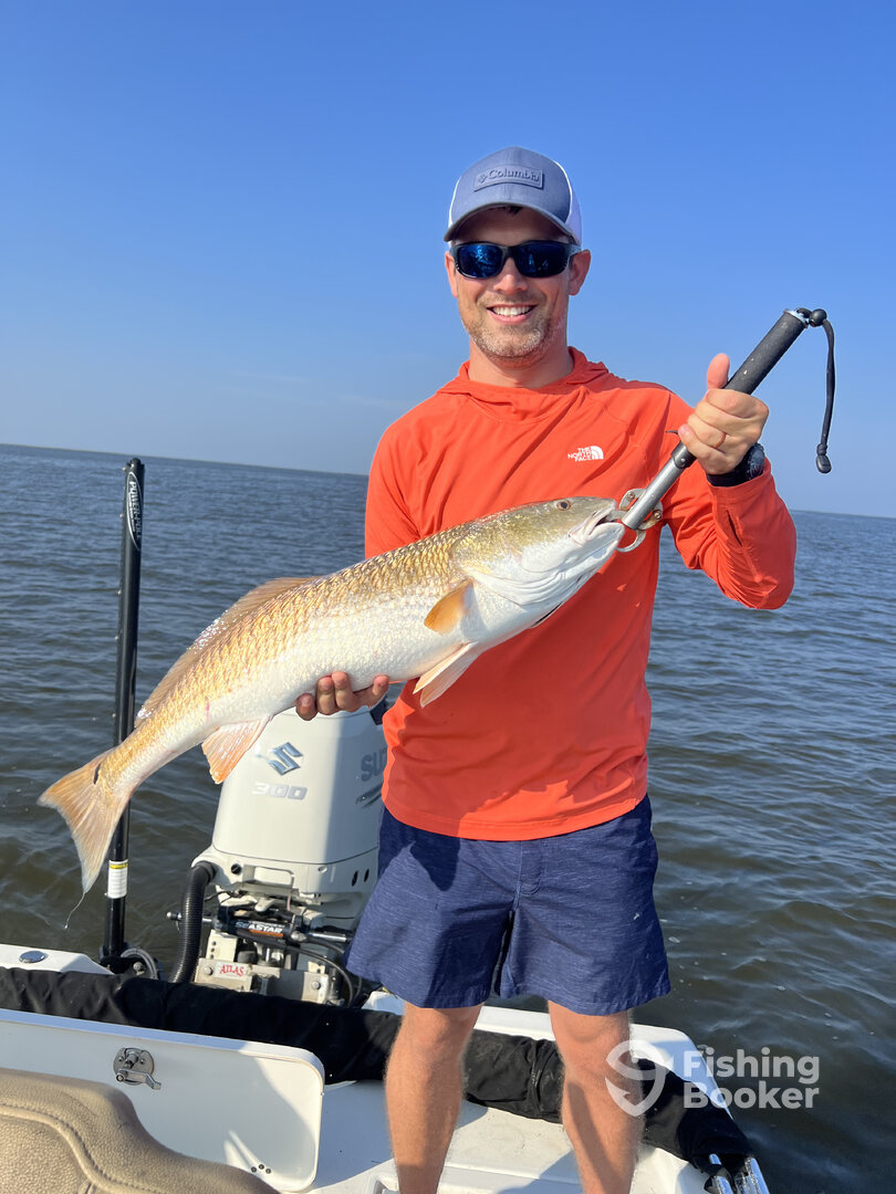 St. Bernard Report Photo 0