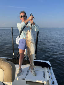 St. Bernard Report Photo 2