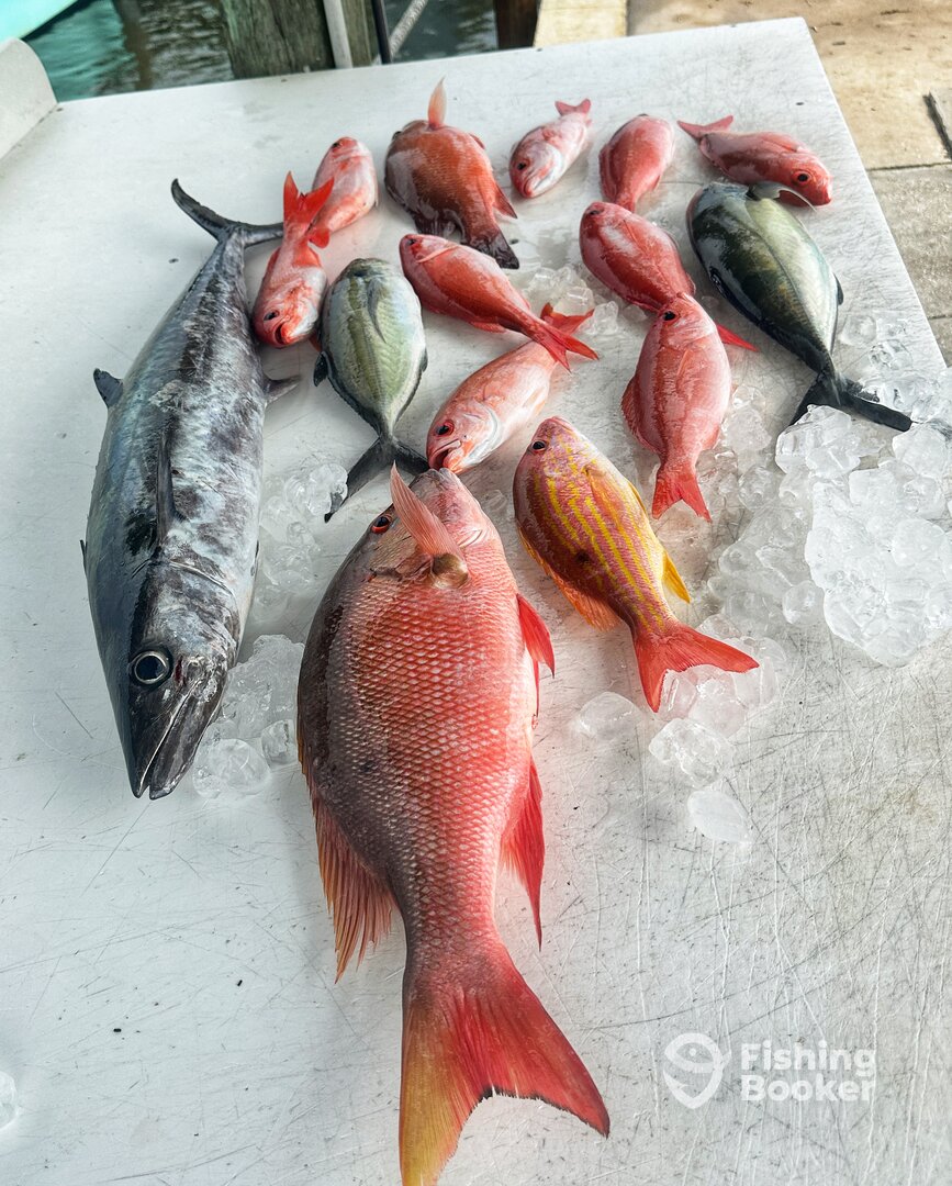 Port Orange Report Photo 0