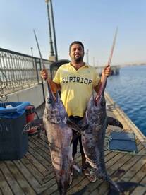 One of our big Games for swordfish 