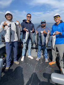 Coho fishing is on fire in the piget sou