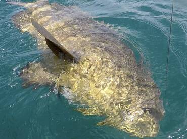 Bay Pines Report Photo 1