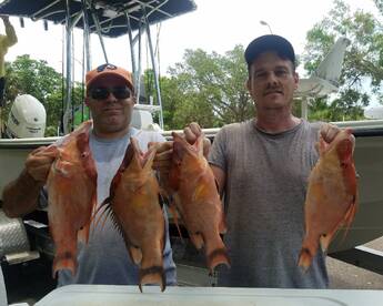 Bay Pines Report Photo 2