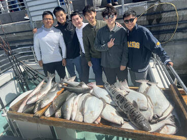 San Francisco Report Photo 1