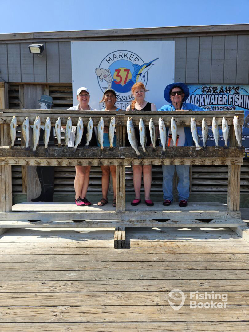 Corpus Christi Report Photo 0