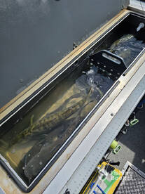 Lakeside Marblehead Report Photo 2