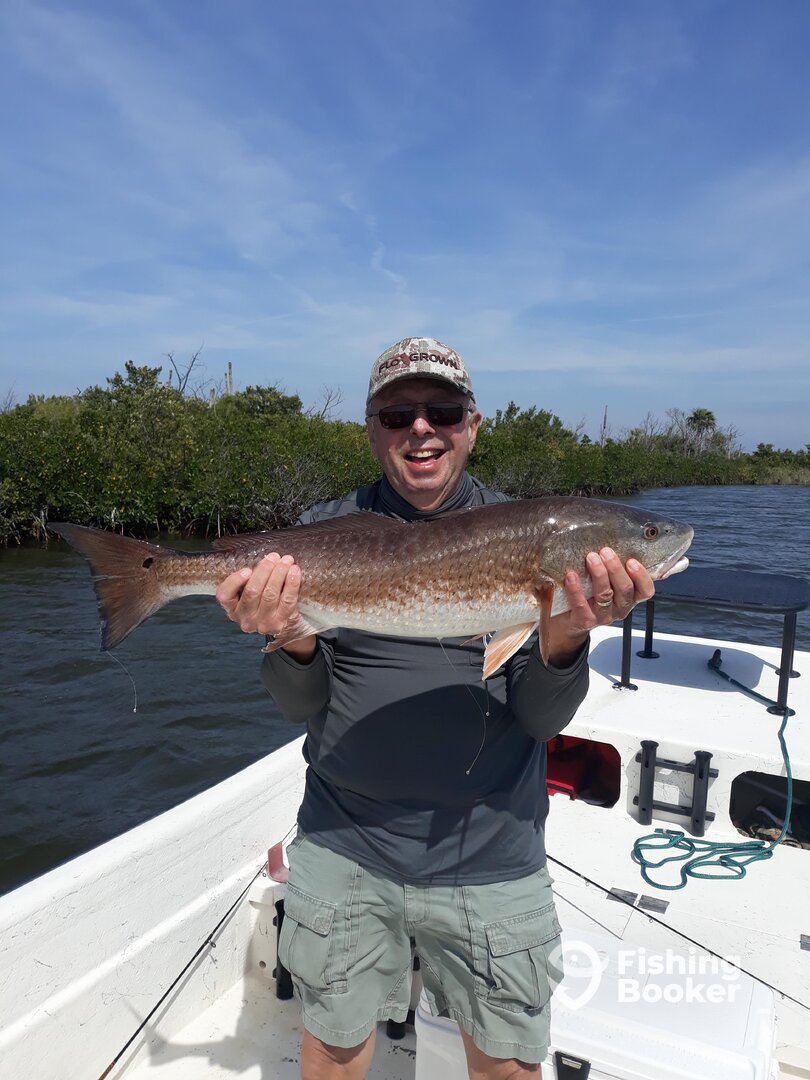 Homosassa Report Photo 0