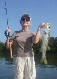 Tampa Report Photo 2