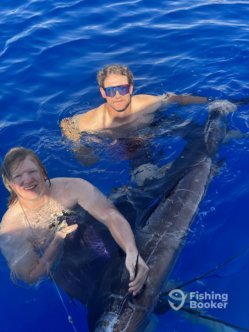 Aqaba Report Photo 0