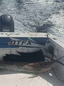 Aqaba Report Photo 3