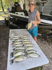 Branson Report Photo 2