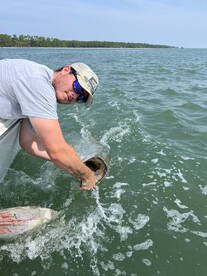 Hilton Head Island Report Photo 1