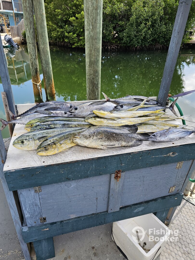 Tavernier Report Photo 0