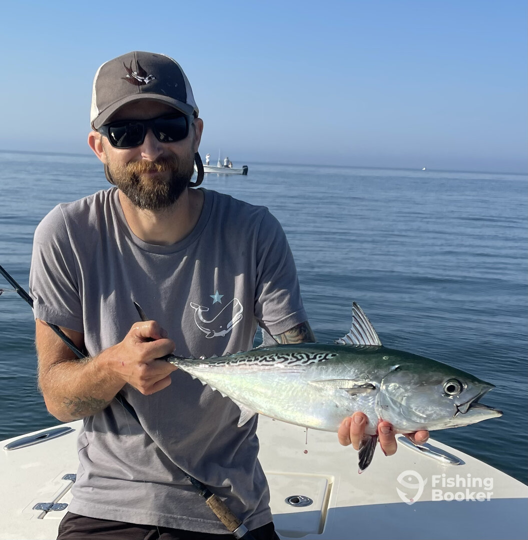 Narragansett Report Photo 0