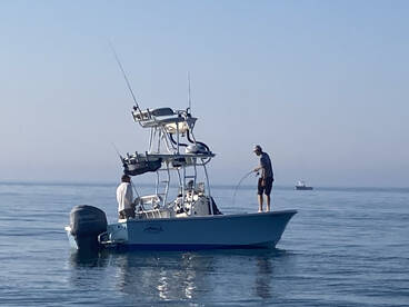 Narragansett Report Photo 2