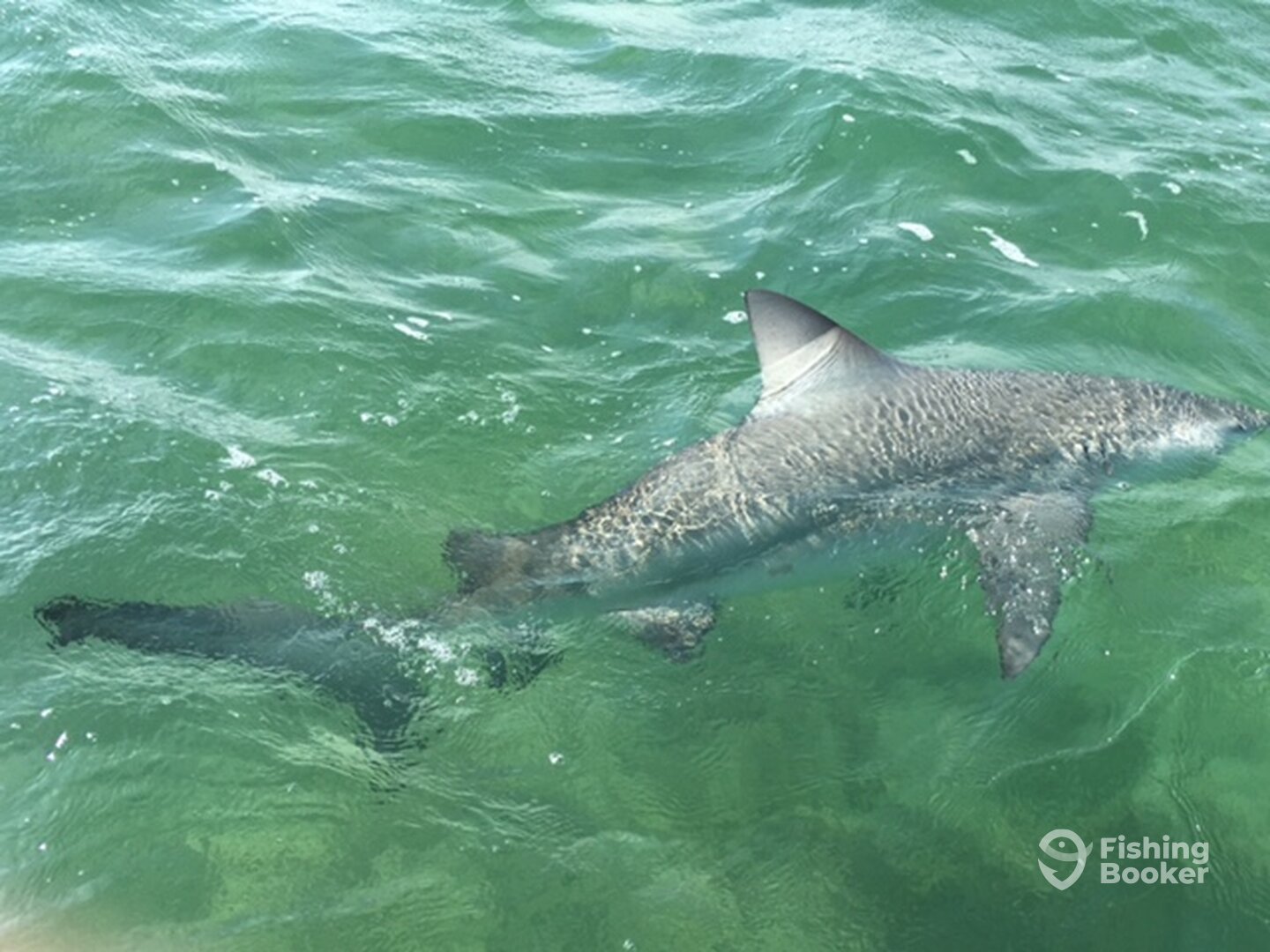 Ramrod Key Report Photo 0