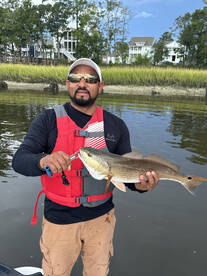 Mount Pleasant Report Photo 2