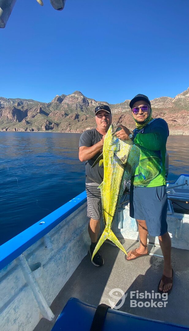 Loreto Report Photo 0