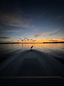 Livebait and Poppers